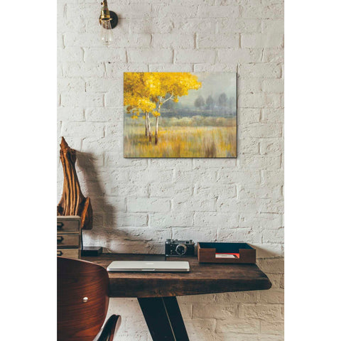 Image of 'Yellow Landscape' by Danhui Nai, Canvas Wall Art,12 x 16