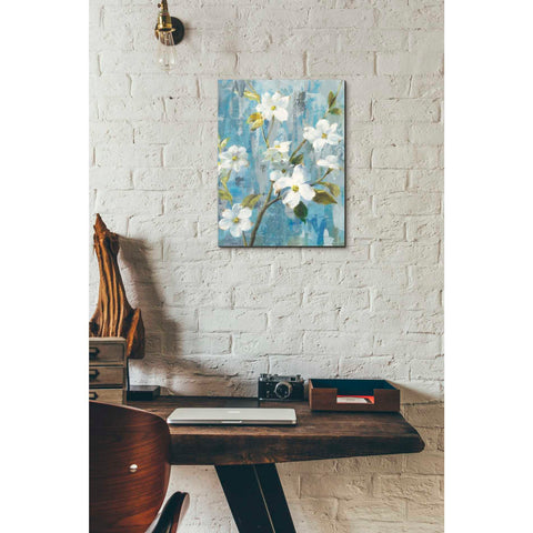 Image of 'Graceful Magnolia I' by Danhui Nai, Canvas Wall Art,12 x 16