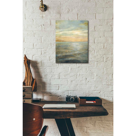 Image of 'Serene Sea II' by Danhui Nai, Canvas Wall Art,12 x 16