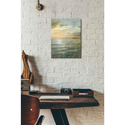 Image of 'Serene Sea III' by Danhui Nai, Canvas Wall Art,12 x 16