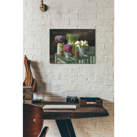 Image of 'Les Fleurs Printemps on Black' by Danhui Nai, Canvas Wall Art,12 x 16