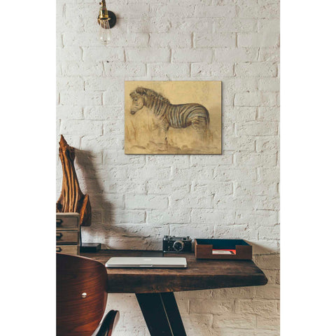 Image of 'Global Zebra Light Crop' by Cheri Blum, Canvas Wall Art,12 x 16
