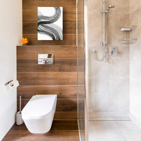 Image of 'Shakane2' Canvas Wall Art,12 x 16