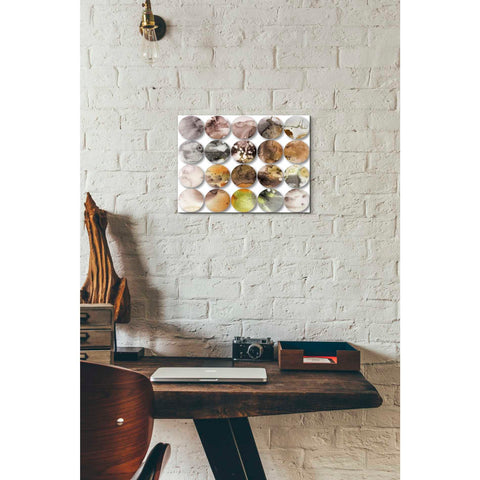 Image of 'Watercolor Colorful Circles 3' by Irena Orlov, Canvas Wall Art,16 x 12