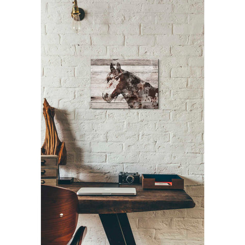 Image of 'Jalisco Horse' by Irena Orlov, Canvas Wall Art,16 x 12