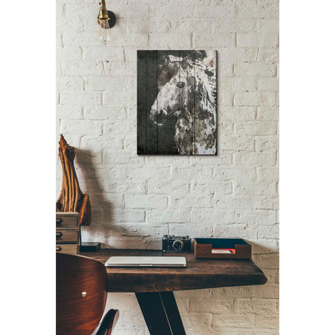 Image of 'SPIRIT EYE Horse' by Irena Orlov, Canvas Wall Art,12 x 16