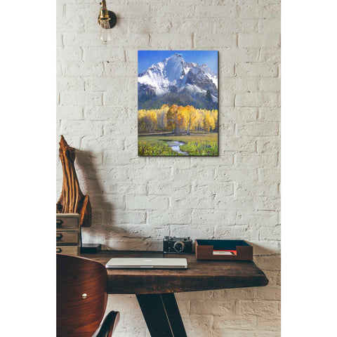 Image of 'Idyllic Mountain' by Chris Vest, Giclee Canvas Wall Art