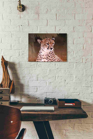 Image of 'Wildness Cheetah' by Karen Smith, Canvas Wall Art,16x12