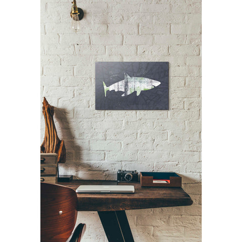 Image of 'Shark I' by Linda Woods, Canvas Wall Art,12 x 18