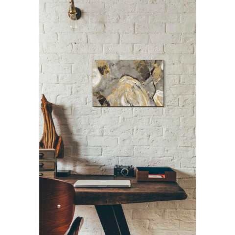 Image of 'Painted Desert Phoenix Neutral' by Albena Hristova, Canvas Wall Art,18 x 12