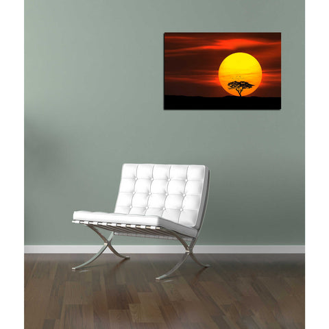 Image of 'Circle of Life' Canvas Wall Art,12 x 18