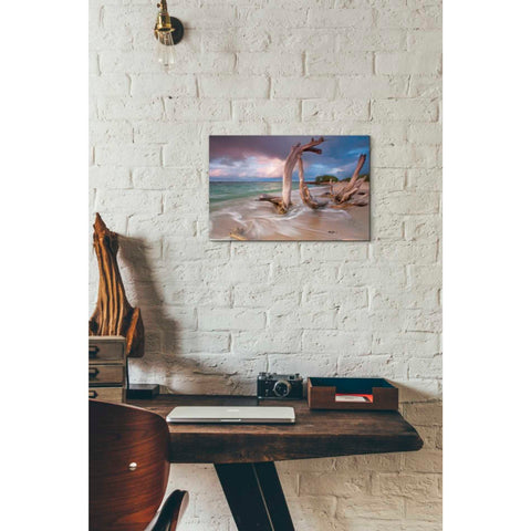 Image of 'Driftwood Sunset' by Katherine Gendreau, Giclee Canvas Wall Art