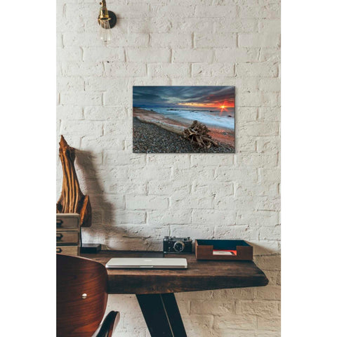 Image of 'Sakonnet Driftwood' by Katherine Gendreau, Giclee Canvas Wall Art