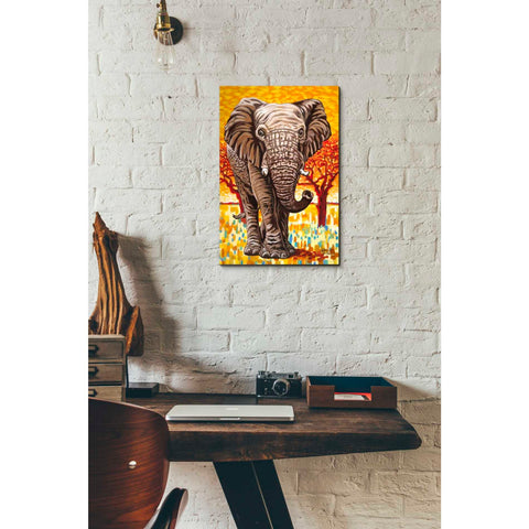 Image of 'Wild Africa I' by Carolee Vitaletti Giclee Canvas Wall Art