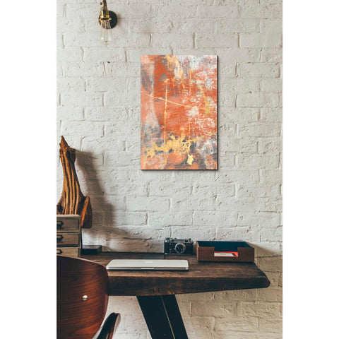 Image of 'Terre Cotta Lace I' by Jennifer Goldberger Giclee Canvas Wall Art