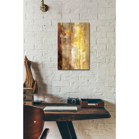 Image of 'Golden Glow I' by Sisa Jasper Canvas Wall Art,18 x 12
