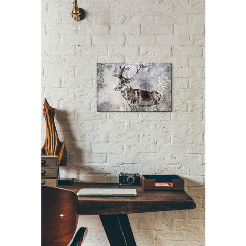 Image of 'Javan Rusa' by Irena Orlov, Canvas Wall Art,18 x 12