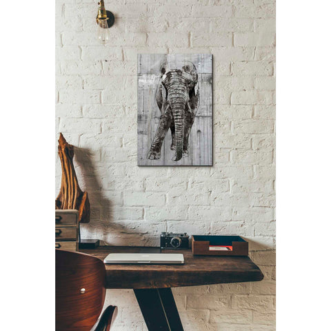 Image of 'ELEPHANT Portrait' by Irena Orlov, Canvas Wall Art,12 x 18