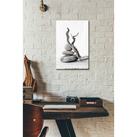 Image of 'Elemental Zen' by Elena Ray Canvas Wall Art,12 x 18