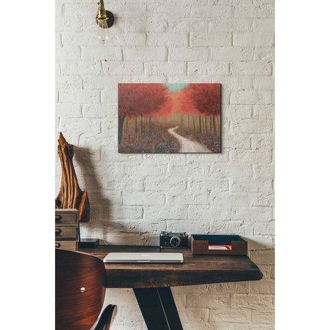 Image of 'Forest Pathway' by James Wiens, Canvas Wall Art,12 x 18
