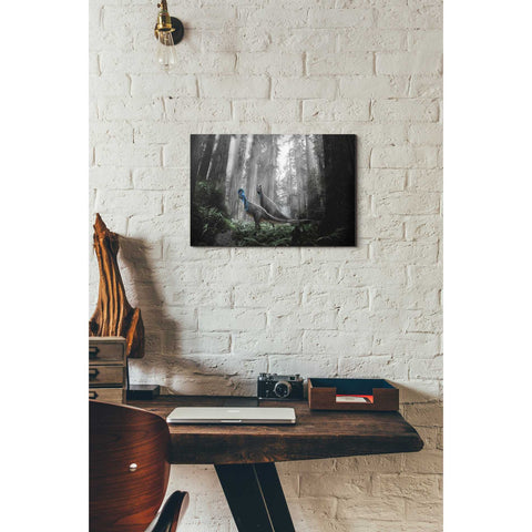 Image of 'Breeding Season' Canvas Wall Art,12 x 18