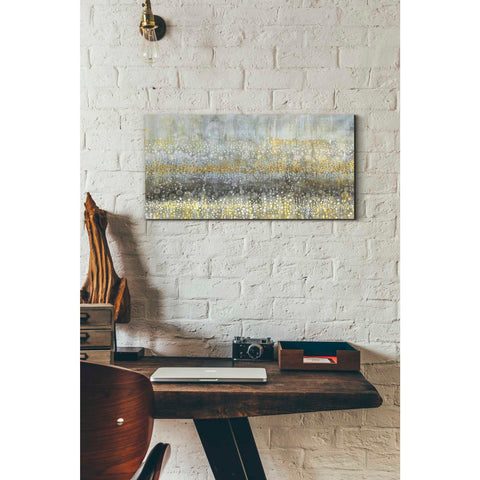 Image of 'Rain Abstract II Crop' by Danhui Nai, Canvas Wall Art,12 x 24