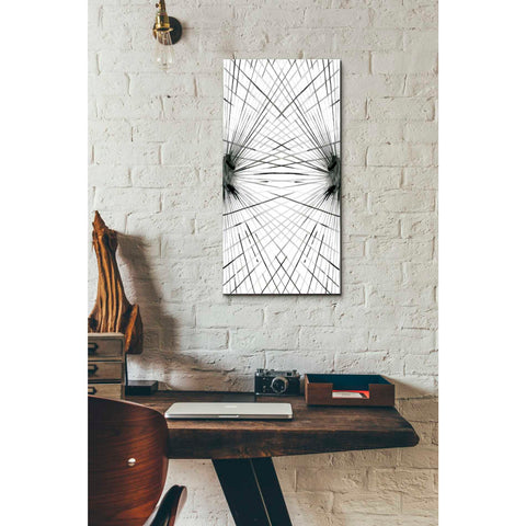 Image of 'Rays IV' by Grace Popp Canvas Wall Art,12 x 24