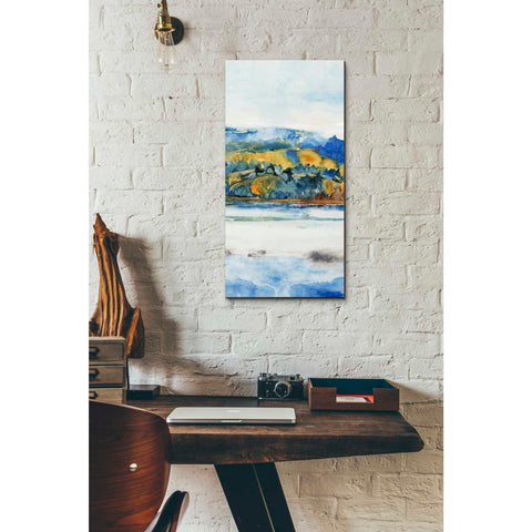 Image of 'Island Mist II' by Tim O'Toole Canvas Wall Art,12 x 24