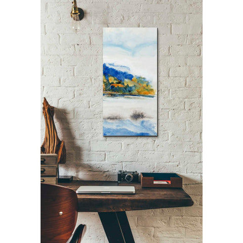 Image of 'Island Mist III' by Tim O'Toole Canvas Wall Art,12 x 24