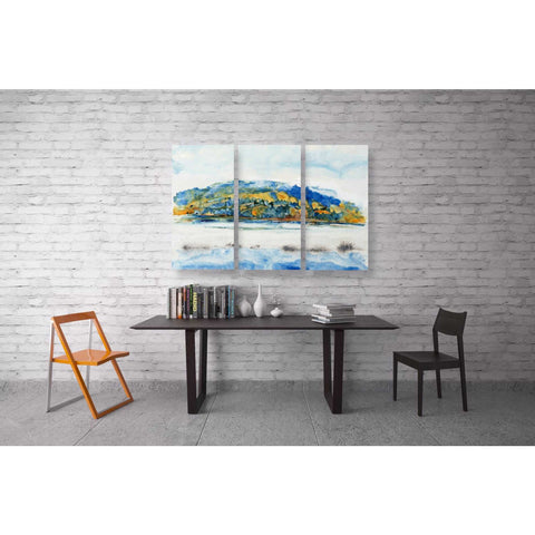 Image of 'Island Mist III' by Tim O'Toole Canvas Wall Art,12 x 24