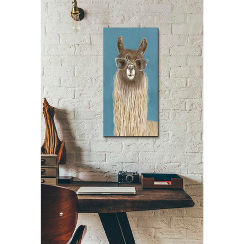 Image of 'Llama Specs IV' by Victoria Borges Canvas Wall Art,12 x 24