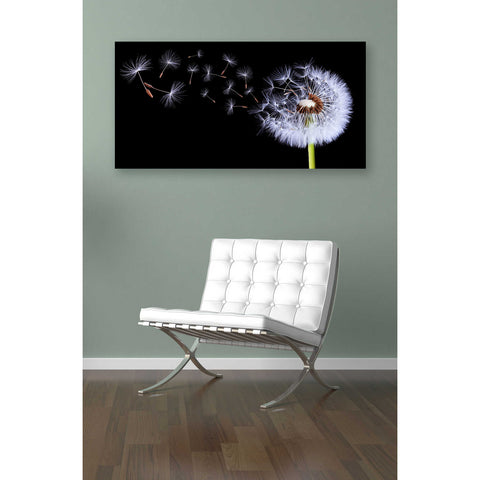 Image of 'Flying Dandelion' Canvas Wall Art,12 x 24