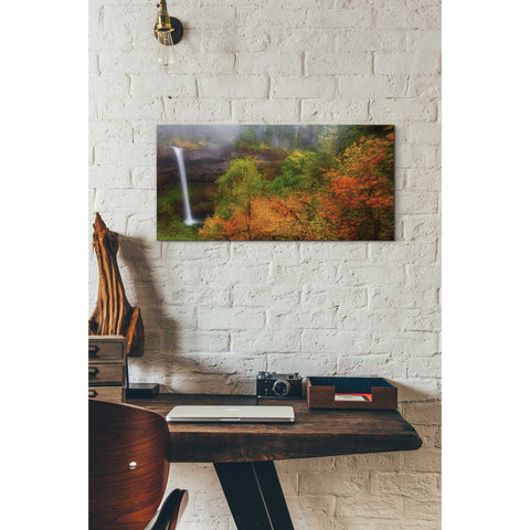 Image of 'Silver Falls' by Darren White, Canvas Wall Art,12 x 24