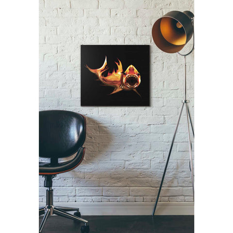 Image of 'White Shark' by Michael StewArt, Canvas Wall Art,16 x 18