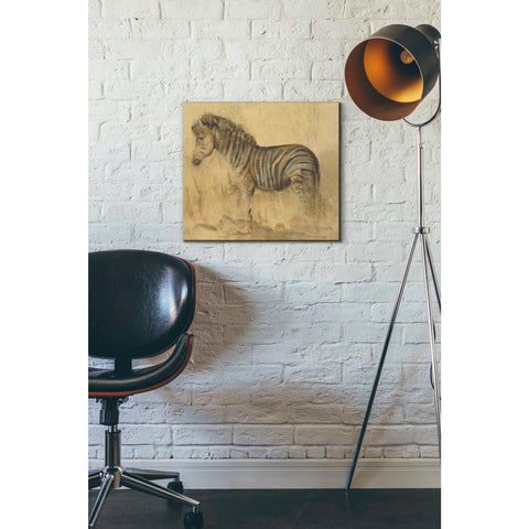 Image of 'Global Zebra Light Crop' by Cheri Blum, Canvas Wall Art,16 x 18