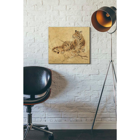 Image of 'Global Tiger Light Crop' by Cheri Blum, Canvas Wall Art,16 x 18