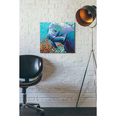 Image of 'Sea Sweetheart II' by Carolee Vitaletti Giclee Canvas Wall Art