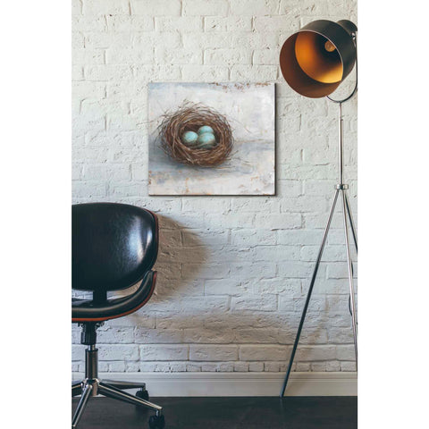 Image of 'Rustic Bird Nest I' by Ethan Harper Canvas Wall Art,18 x 16