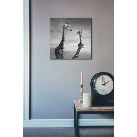 Image of 'Twisted Sister' by Dariusz Klimczak, Canvas Wall Art,18 x 18