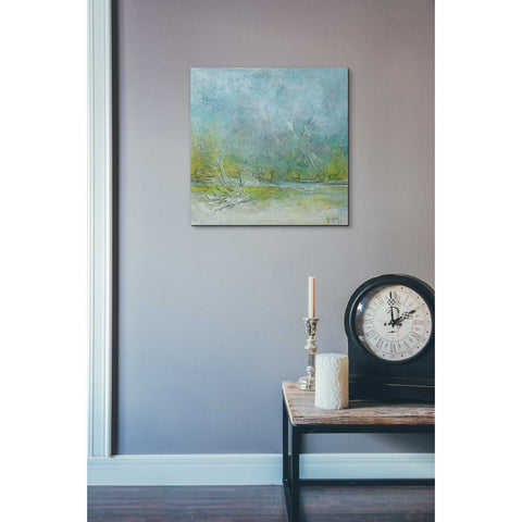 Image of 'Freedom' by Samedin Asllani, Canvas Wall Art,18 x 18