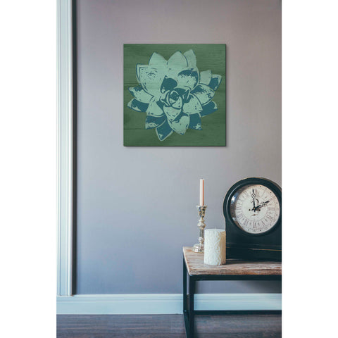 Image of 'Boho Succulent Green' by Linda Woods, Canvas Wall Art,18 x 18