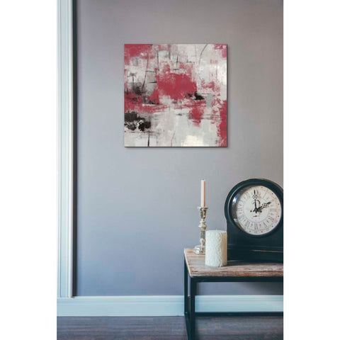 Image of 'Stone Gardens III Red' by Silvia Vassileva, Canvas Wall Art,18 x 18