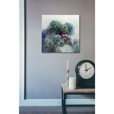 Image of 'Abstract Hydrangea' by Danhui Nai, Canvas Wall Art,18 x 18