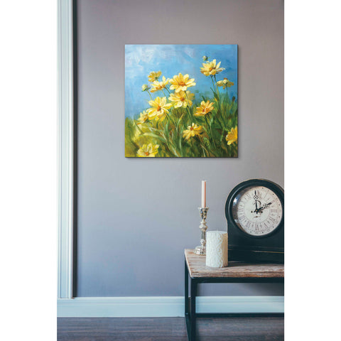 Image of 'Summer Field I' by Danhui Nai, Canvas Wall Art,18 x 18
