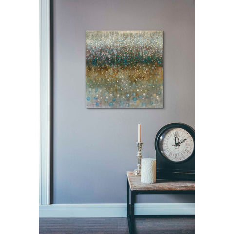 Image of 'Abstract Rain' by Danhui Nai, Canvas Wall Art,18 x 18