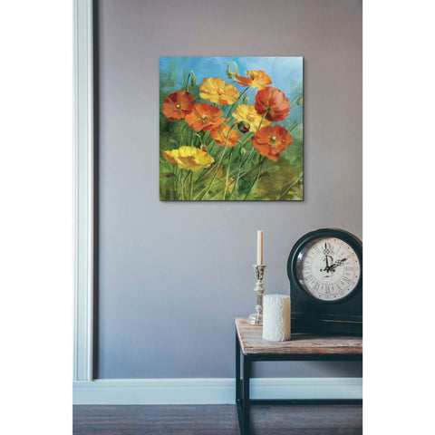 Image of 'Summer Field IV' by Danhui Nai, Canvas Wall Art,18 x 18