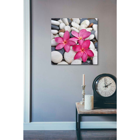 Image of 'Shintai II' Canvas Wall Art,18 x 18