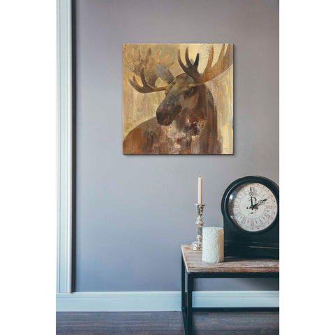 Image of 'Into the Wild II' by Albena Hristova, Canvas Wall Art,18 x 18