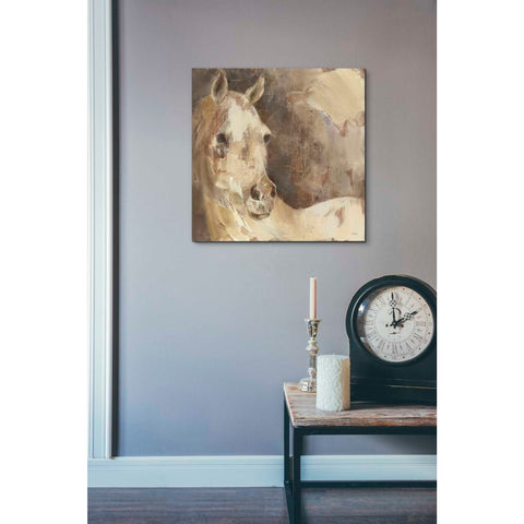 Image of 'Jasmine' by Albena Hristova, Canvas Wall Art,18 x 18