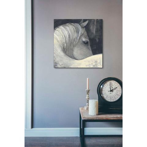 Image of 'Bijou' by Albena Hristova, Canvas Wall Art,18 x 18